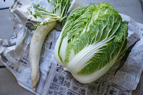 簡単 節約 白菜を使ったクックパッドの人気レシピ10選 リサコログ