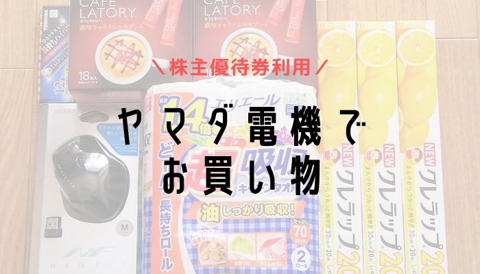 ヤマダホールディングス　ヤマダ電気　お買い物優待券